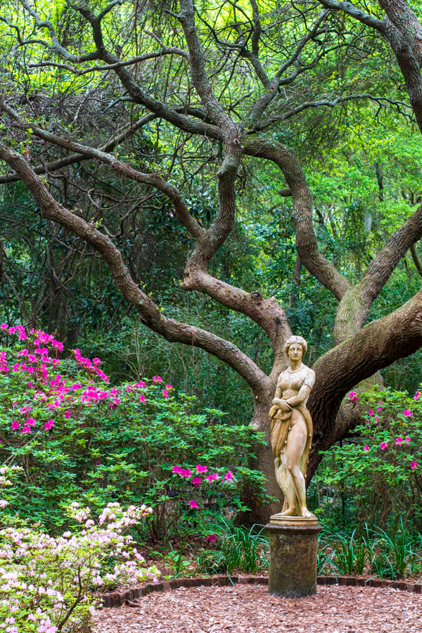 The Elizabethan Gardens is another dog-friendly attraction in the Outer Banks.