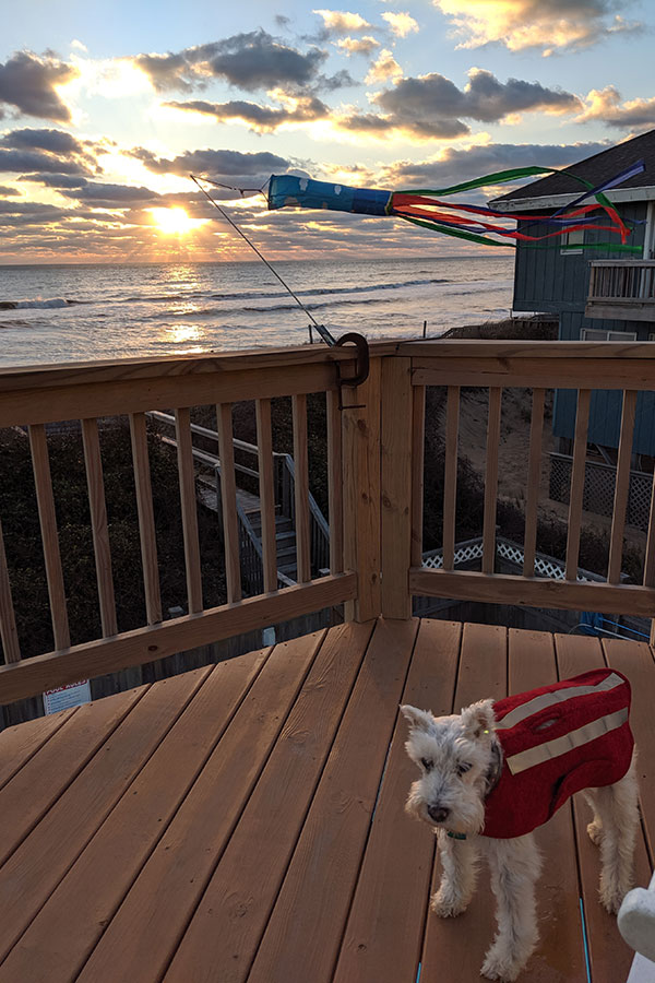 An oceanfront Outer Banks pet-friendly rental.