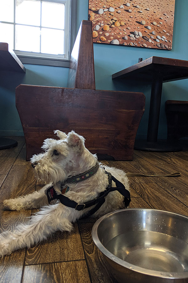 Pigman's BBQ is one of the Outer Banks' most dog-friendly restaurants.