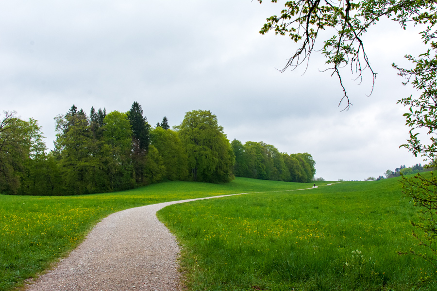 Making the pilgrimage to Kloster Andechs for their beer is one of many day trips from Munich.