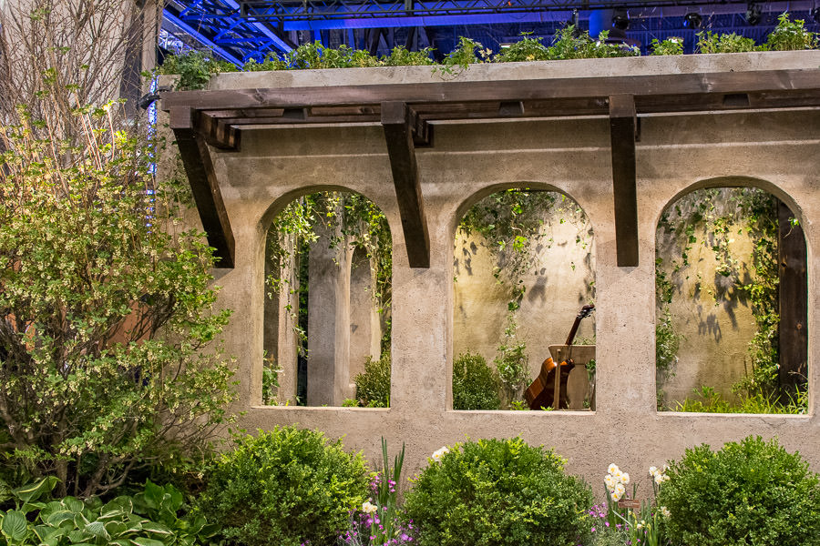 A classical guitar surrounded by plants.