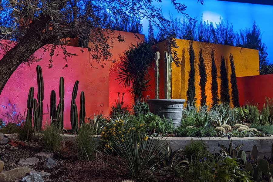 A selection of succulents and plants set against colorful walls.