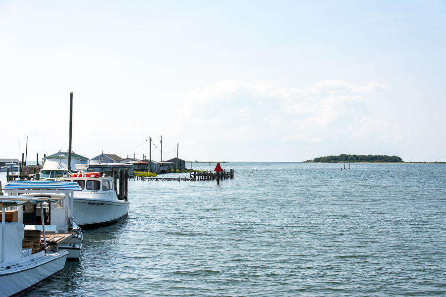 A view of the Chesapeake Bay from Smith Island.