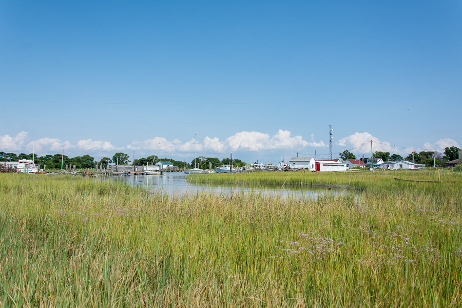 The town of Ewell is on one of the islands of Maryland, Smith Island.