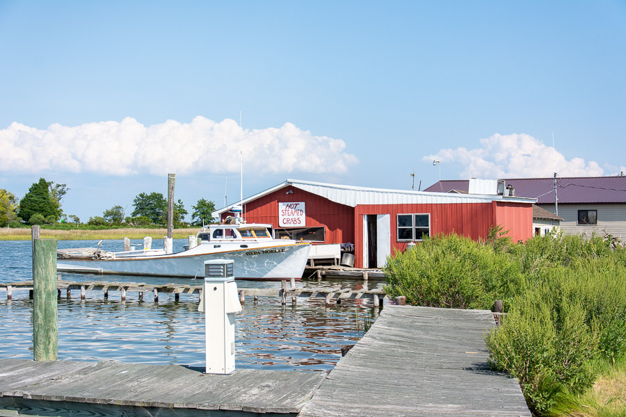 A sign advertises "hot steamed crabs" along the Smith Island waterfront.