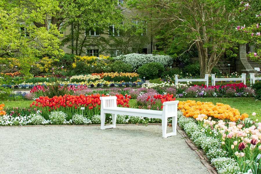 A bench surrounded by spring flowers at Munich Botanical Garden.