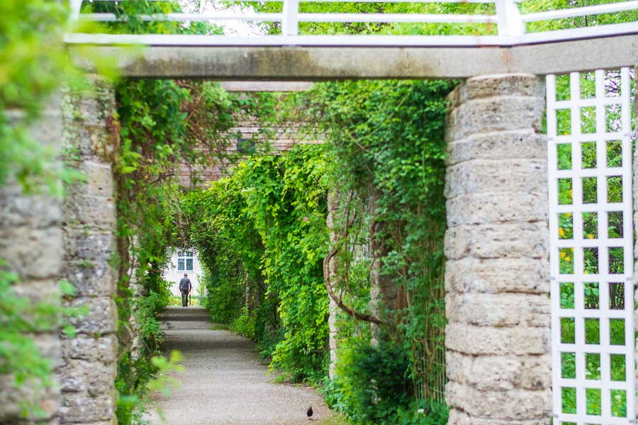 A man walks through a ivy covered trellis.