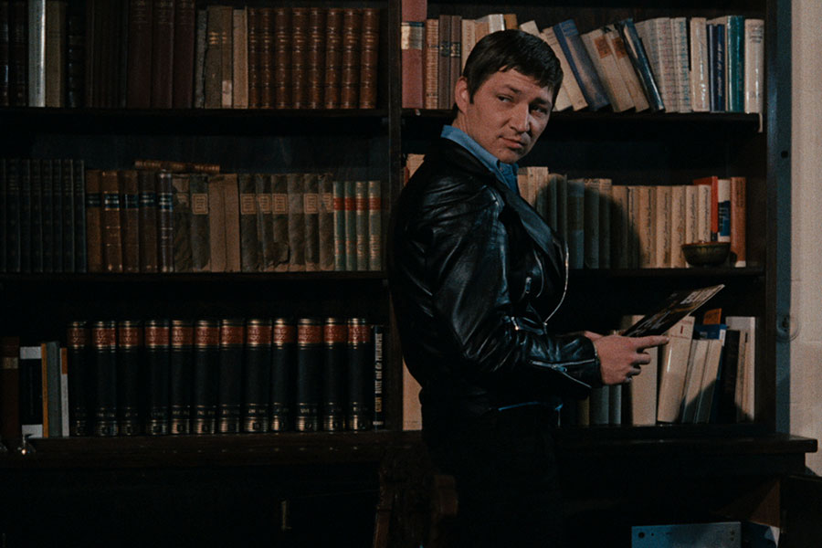 Learn German with the film Fox and his Friends from filmmaker Rainer Werner Fassbinder.