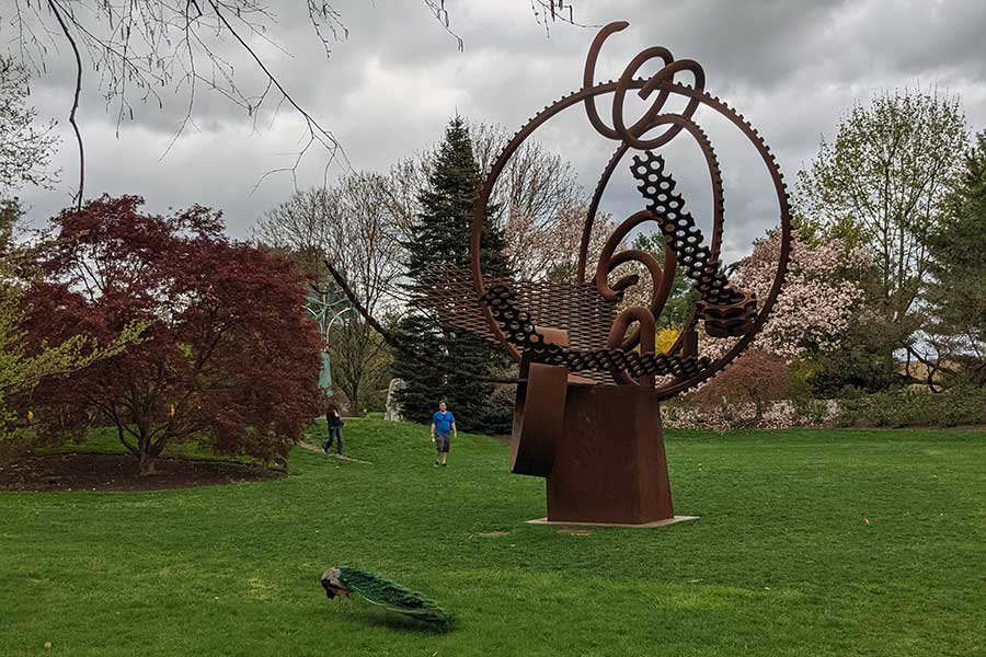 Dina Wind's "Harp of David #1" and a peacock at Grounds for Sculpture.