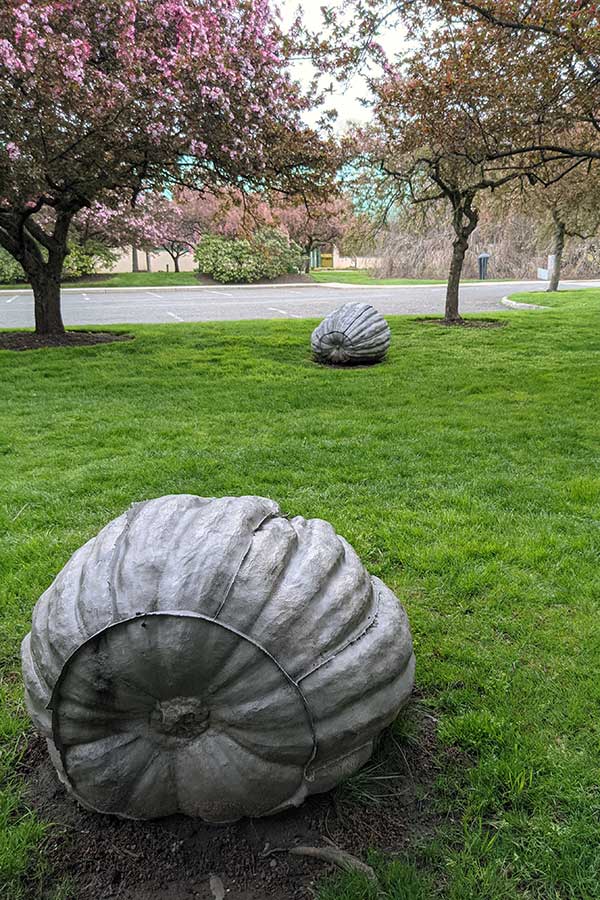 John Ruppert's "Pumpkins" on display at Grounds for Sculpture.