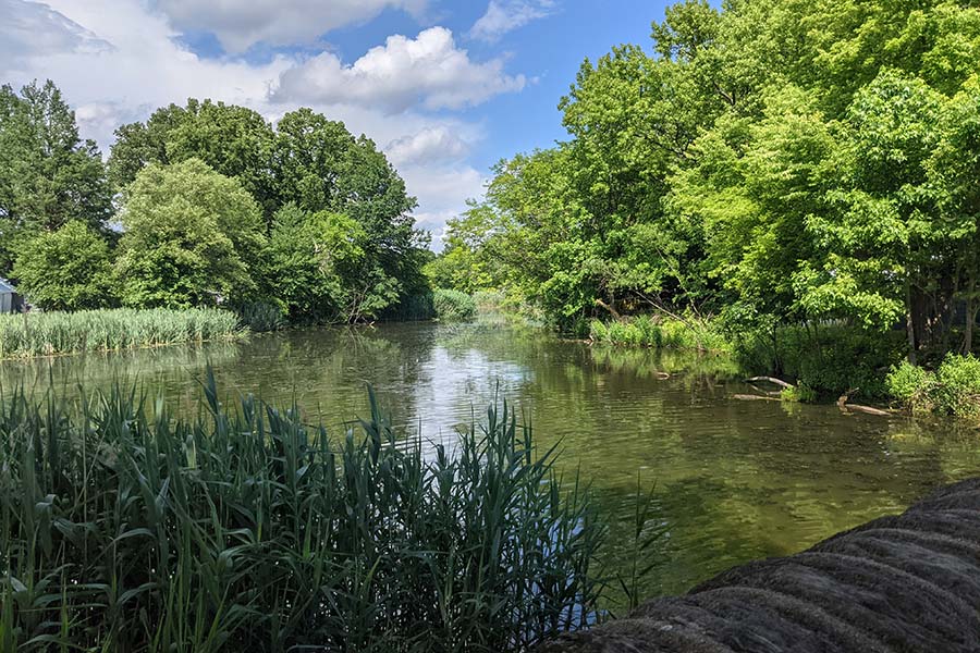 A view over the water at FDR Park in South Philadelphia.