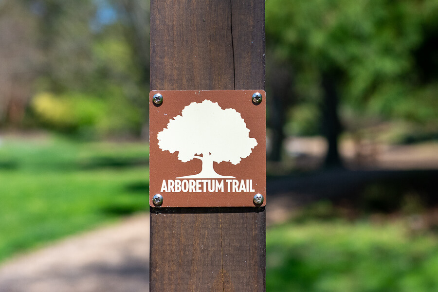 The Arboretum Trail offers a path lined with trees.