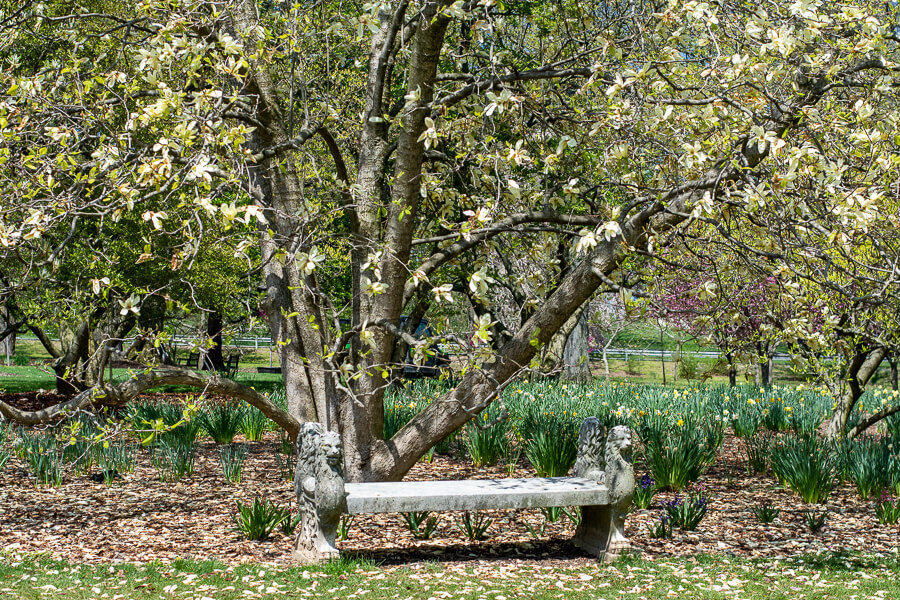 A quiet bench at Hershey Gardens, a Pennsylvania botanical garden.