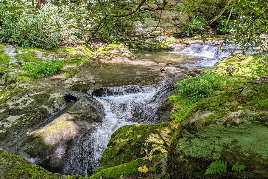 A waterfall along Bear Run near the picnic area at Fallingwater.