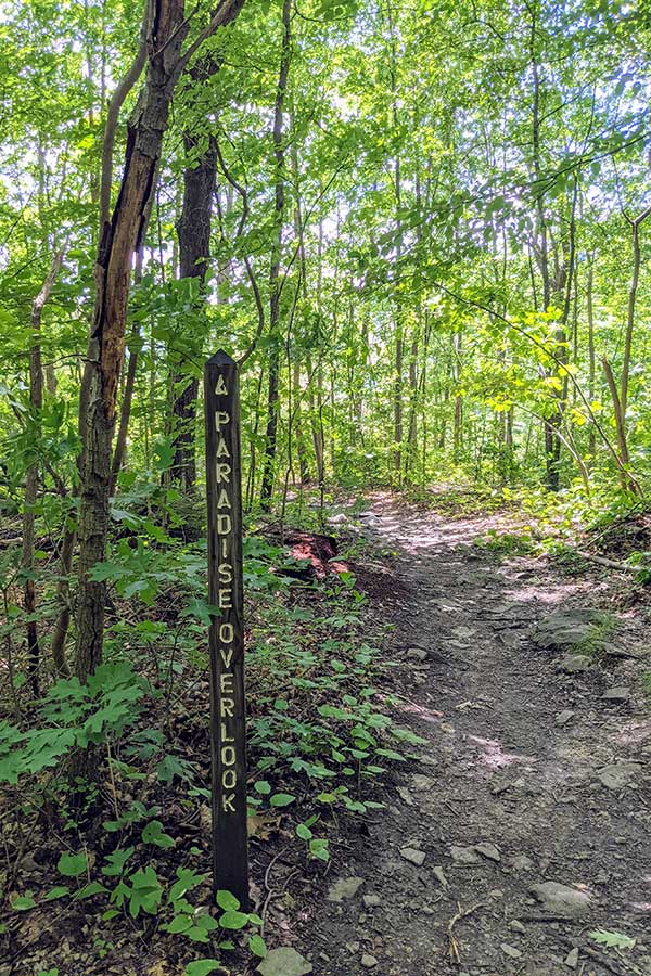 The hiking trail to Paradise Overlook.