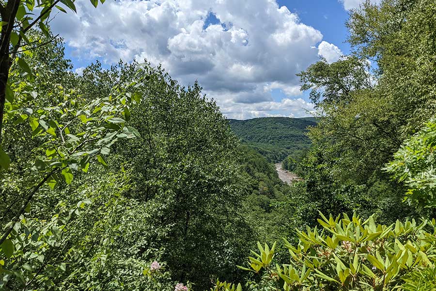 In summer, the trees block some of the view at Paradise Overlook.