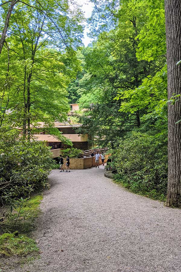 A path of crushed stone leads between the trees to Fallingwater.