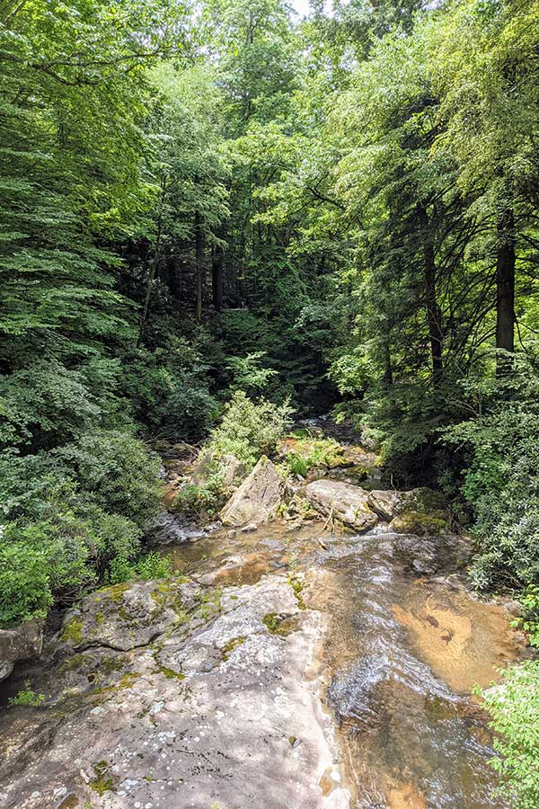 A view of Bear Run from the balcony of Fallingwater.