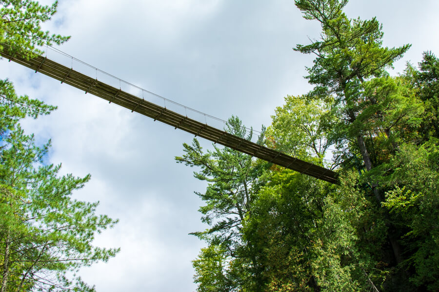 The view from beneath one of the suspension bridges at Canyon Sainte-Anne.