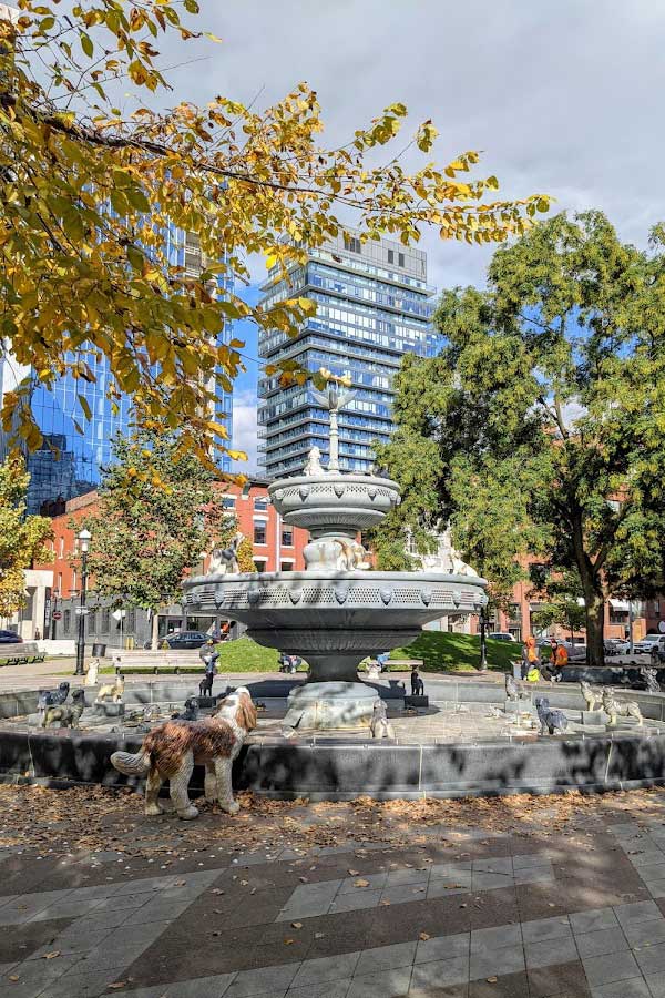 Seeing the Berczy Park Dog Fountain is one of the fun things to do in Toronto. It's sure to get tails wagging.