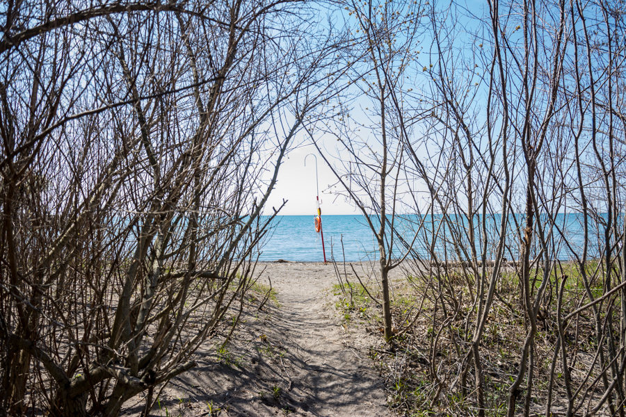 The Scarborough Bluffs trail leads through the park to Lake Ontario.