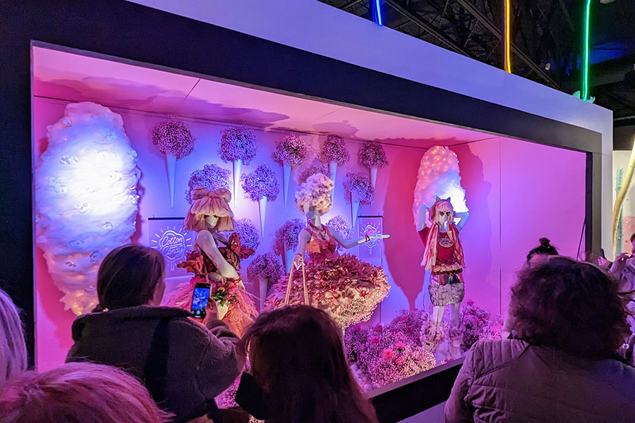 Bright colors pop at the Eye Candy exhibit at the 2023 Flower Show.