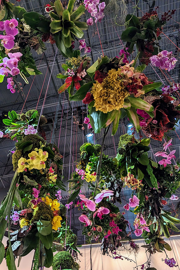 Bouquets of flowers and orchids hang from the ceiling of the entry garden at the 2023 Philadelphia Flower Show.