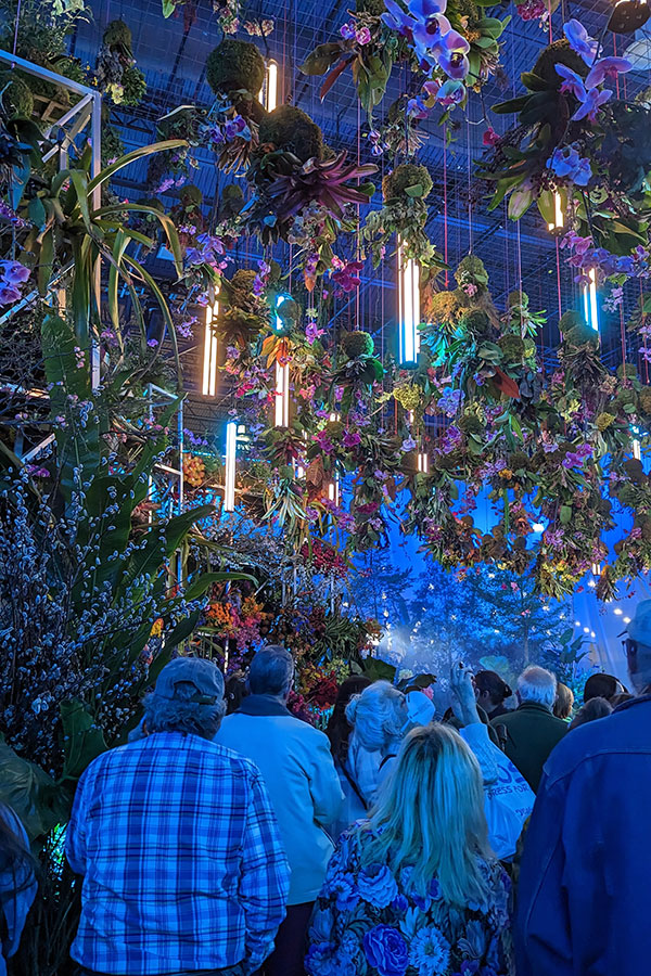 Bright lights and plants dangle overhead at the entry of the Flower Show in Philadelphia.