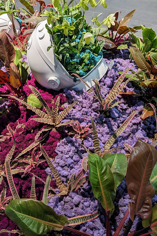 A space-themed exhibit, I Look to the Heavens, shows different colors and textures at the Flower Show.