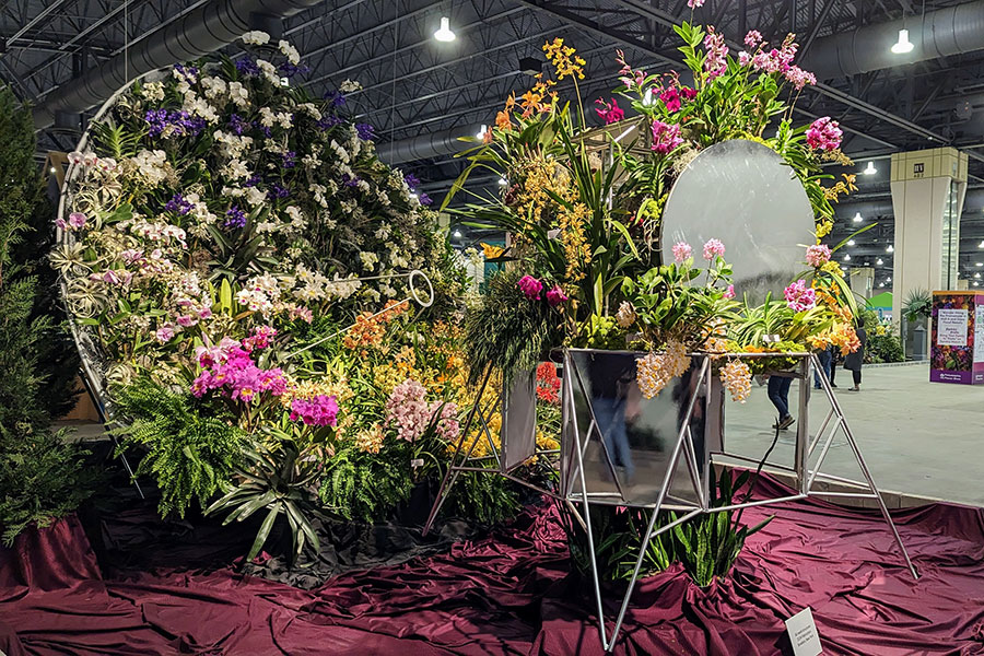 I Look to the Heavens celebrates space with dozens of orchids at the 2023 Philadelphia Flower Show.