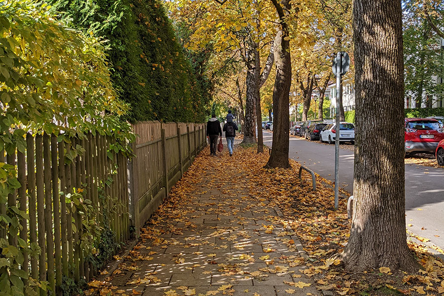 Colorful leaves cover the sidewalk in Munich's Nymphenburg neighborhood.