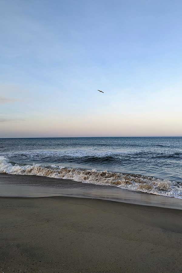 The beaches are one of the best free things to do in the Outer Banks! Outer Banks beaches are free, with no permits or tags required.