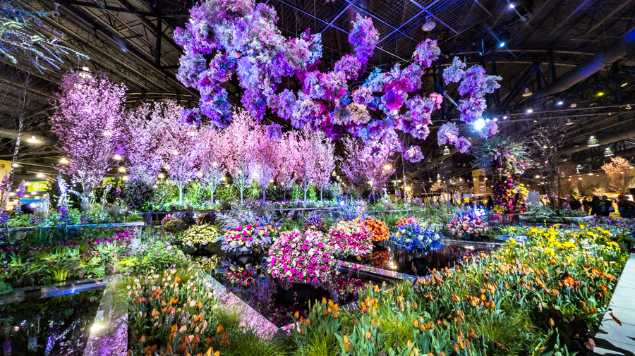 The 2024 Philadelphia Flower Show features a theme of United By Flowers.