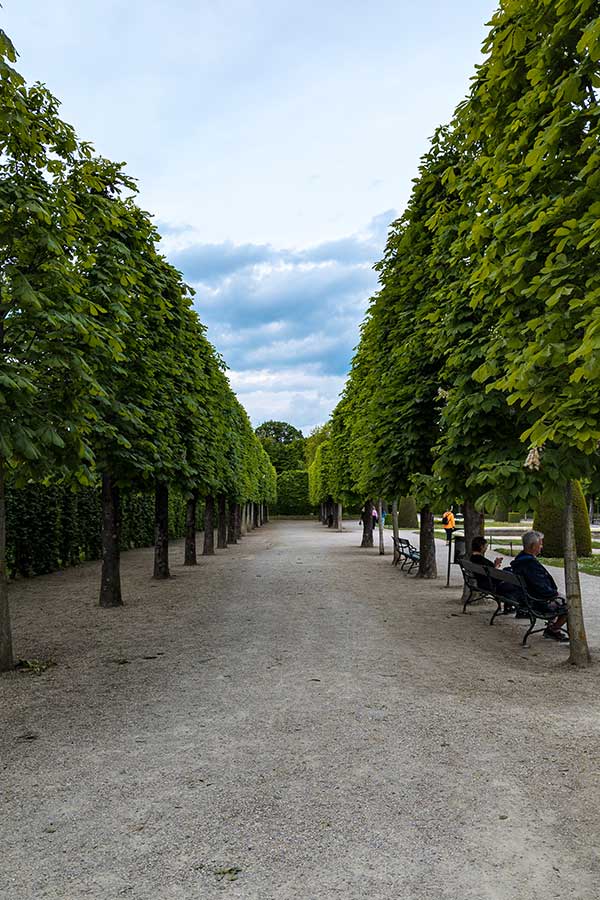 Rows of trees line the Schönbrunn Palace gardens.