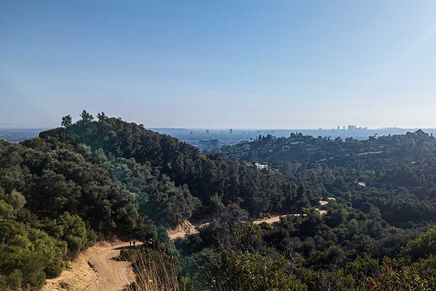 A view over the Observatory Trails in Griffith Park.