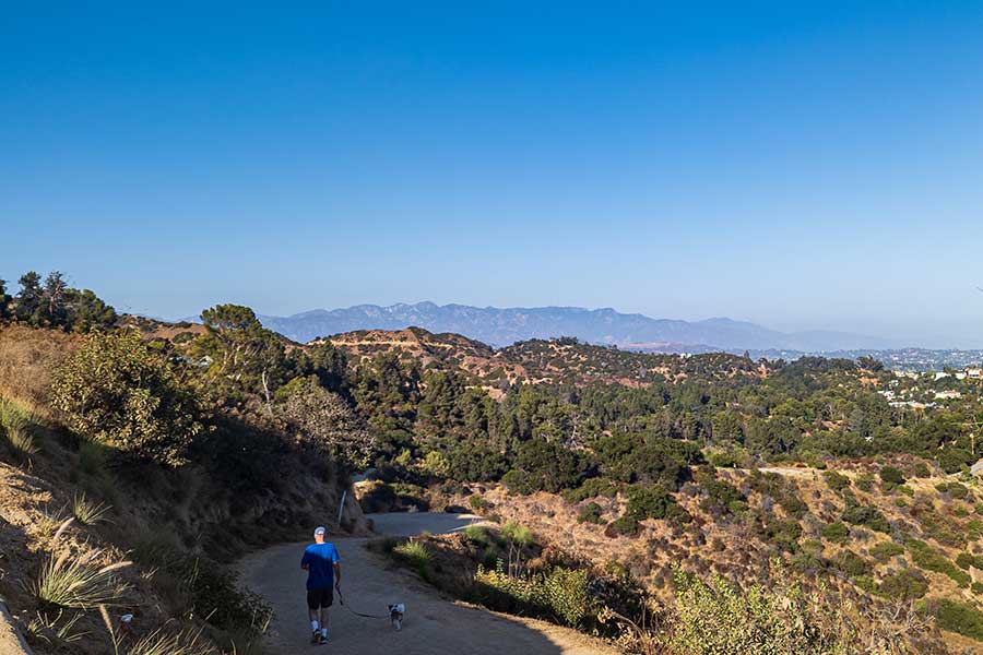 Griffith Park offers a variety of trails for experiencing the outdoors and taking in scenic views of the surrounding areas.