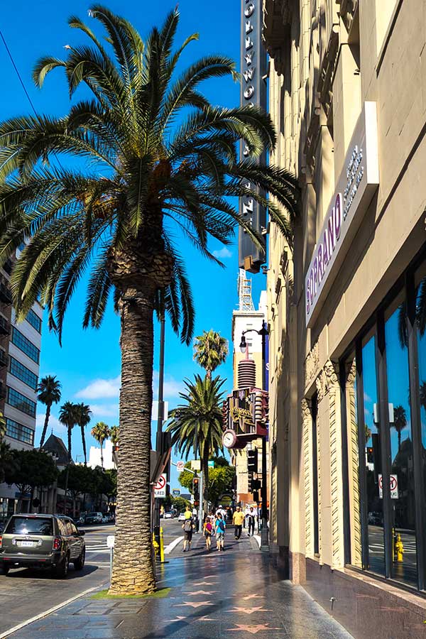 Stars run down the sidewalk on the Hollywood Walk of Fame.