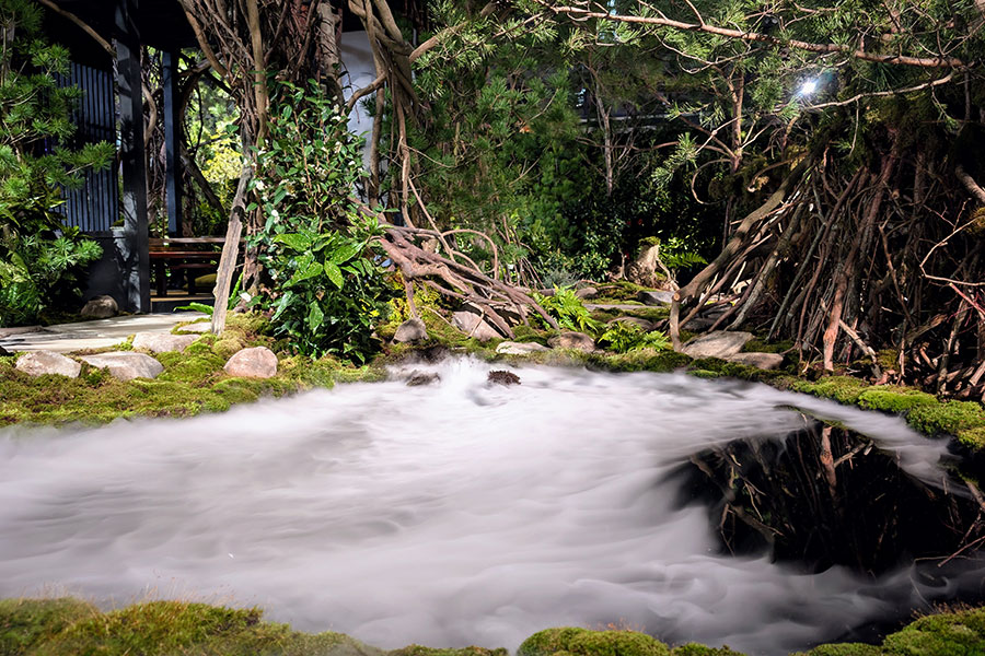 Ishihara Kazuyuki Design Lab and Treeline Designz feature a misty bog in their woodland exhibit at the Philadelphia Flower Show 2025.