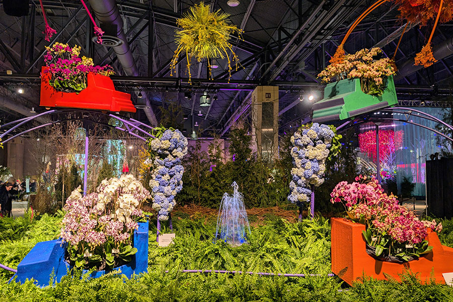 Waldor Orchids bring a rollercoaster of orchids to the Philadelphia Flower Show 2025.